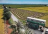 Malaysia’s Hidden Countryside Gem- A Vintage Bus Café in the Middle of Paddy Fields