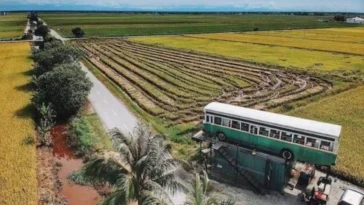 Malaysiaโs Hidden Countryside Gem- A Vintage Bus Cafรฉ in the Middle of Paddy Fields
