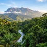 Sabah in June 2026- The Ultimate Travel Guide to Malaysian Borneo